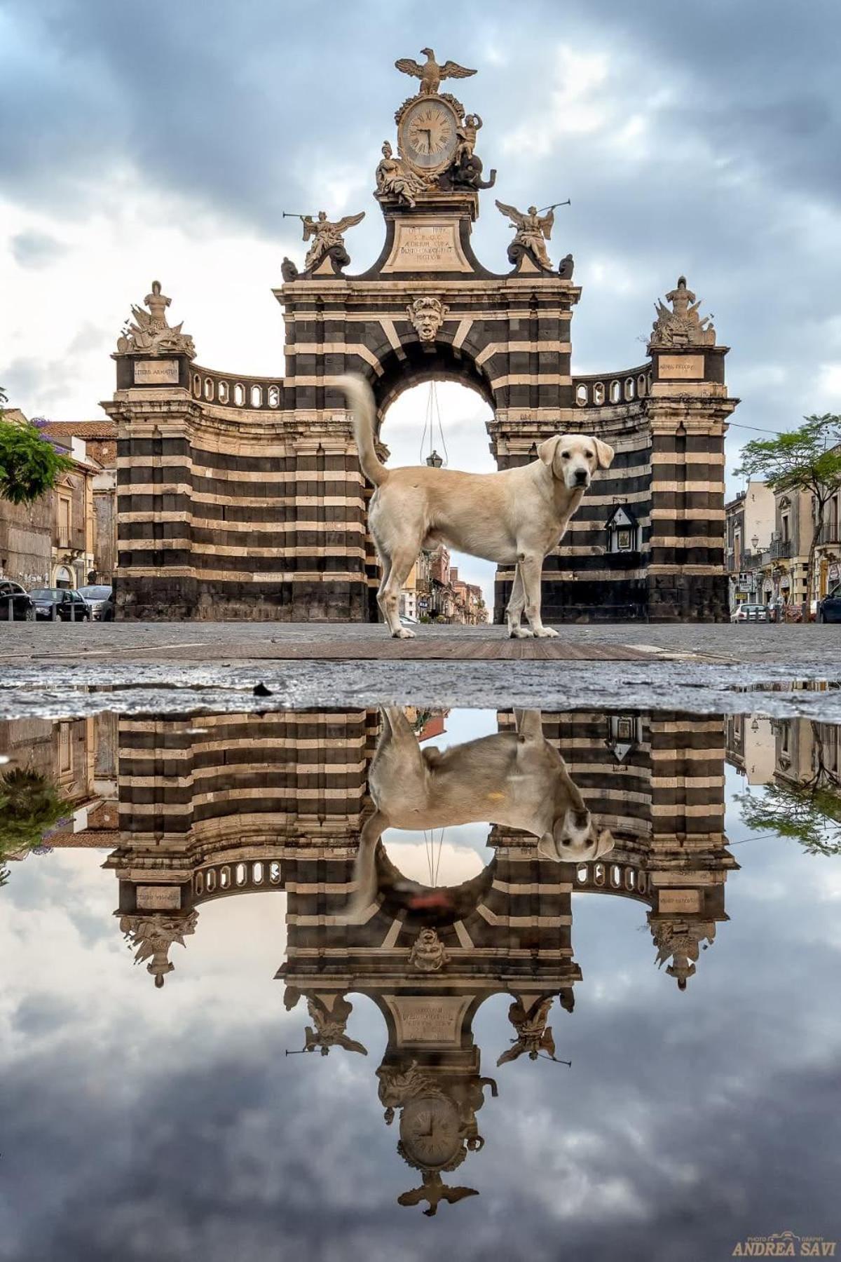 Garibaldi 94- Intera Casa A 2 Passi Dal Duomo Vila Catânia Exterior foto